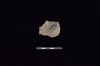 藏品(陶片)的圖片